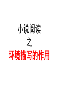 高三语文一轮复习公开课小说阅读