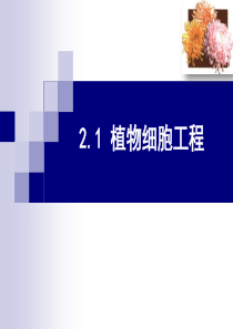 人教版生物选修3-专题2-第1节-植物细胞工程-教学课件-(共47张PPT)