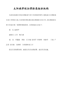 扫黑除恶档案文件目录1组织机构