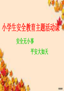 小学生安全教育主题活动课