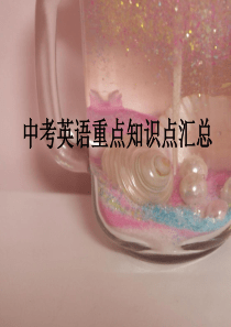 中考英语重点知识