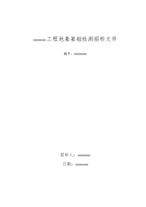 地基基础检测招标文件(范本)
