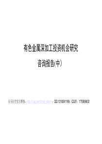 有色金属深加工投资机会研究咨询报告(中)