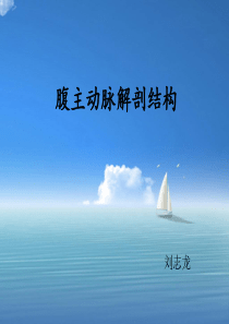 腹主动脉