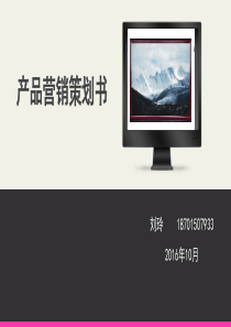 石墨烯取暖器产品营销策划书