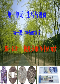 高一政治揭开货币的神秘面纱2(1)
