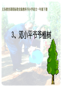 小学一年级语文下册《小平爷爷植树》PPT课件