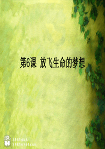 放飞生命的梦想