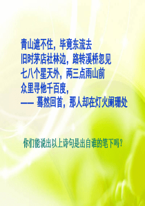 《辛弃疾词两首》ppt