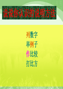 6910.松鼠(完美版)