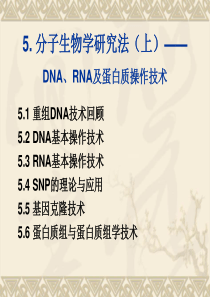 5.DNA、RNA及蛋白质操作技术