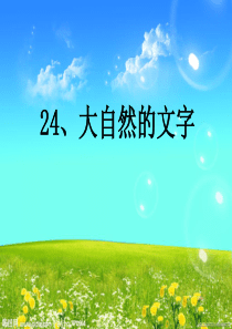 苏教版小学语文六年级上册《大自然的文字》详解