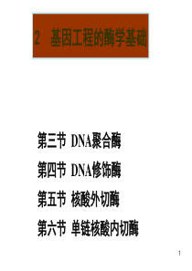 2基因工程的酶学基础