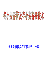 冬小麦春季田间管理“八字诀”—马志