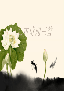 人教版四年级语文下册_1.《古诗词三首》完美版