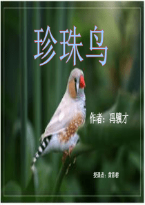 S版五年级语文下册第二单元7《珍珠鸟》教学课件