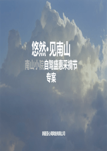 自驾游活动策划方案