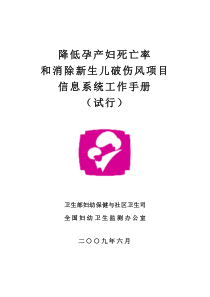 《母子系统保健项目》信息系统建设方案