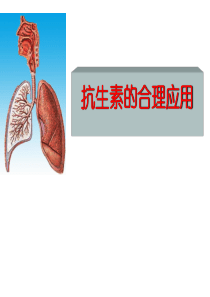 抗生素的合理应用-医学课件