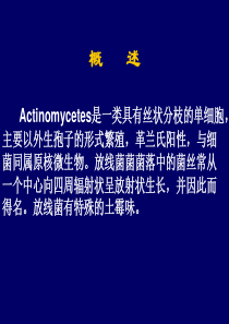放线菌