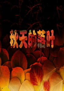 秋天的落叶