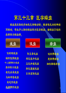 第三十三章 医学蠕虫(蛔虫)