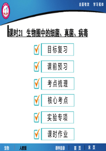 课时21 生物圈中的细菌、真菌、病毒