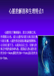 心脏超声讲义