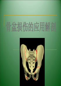 3.骨盆解剖-wlf