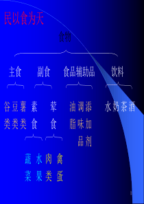 化学与生活之食物与化学