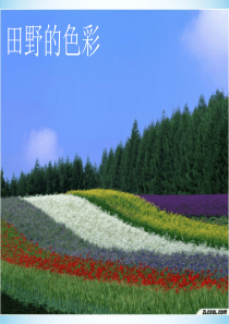 一年级美术上册第三课《田野的色彩》