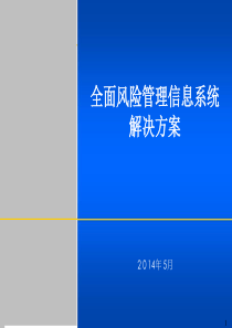 全面风险管理信息系统解决方案简介