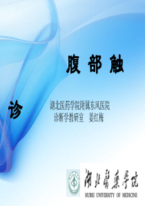 诊断学：腹部触诊