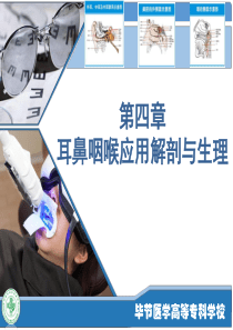 五官科学-第四章耳鼻咽喉应用解剖与生理