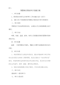 预算执行情况审计实施方案