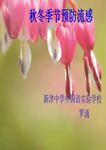 预防流感主题班会课件(1)