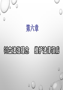XXXX年版第六章_树立法治理念_维护法律权威