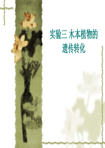木本植物的遗传转化4.7