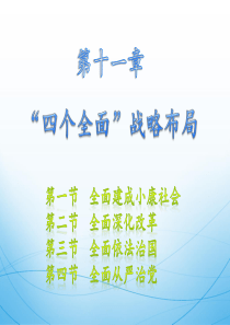 2018版毛概第十一章