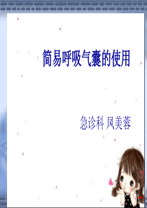 简易呼吸气囊PPT