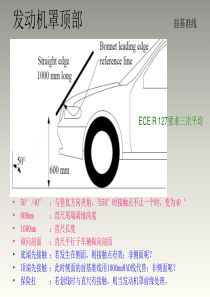 行人保护划线定点_ECE R127