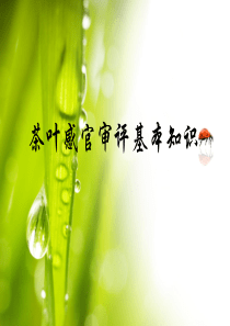 6、茶艺师培训之―茶叶感官审评