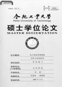 电子商务系统绩效评价方法的研究