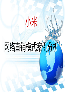 小米的网络直销模式案例分析分析
