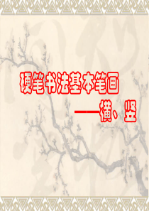 硬笔书法第二讲《硬笔书法基本笔画横、竖》ppt课件11