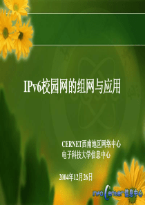 电子科大IPv6校园网的组网与应用