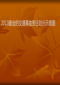 XXXX新交通法规交通责任示意图