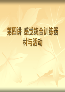 感觉统合训练器材1