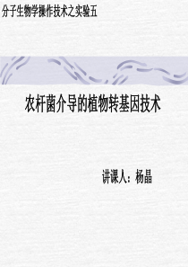 农杆菌介导的植物转基因技术