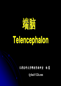 66中枢神经系统解剖-端脑1